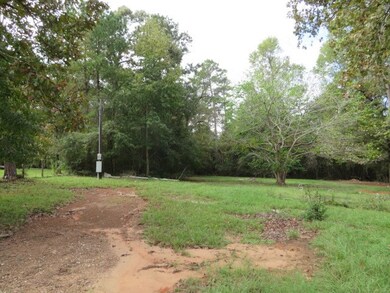 28211 Hickory Hill Dr, Hockley, TX 77447 - photo 3