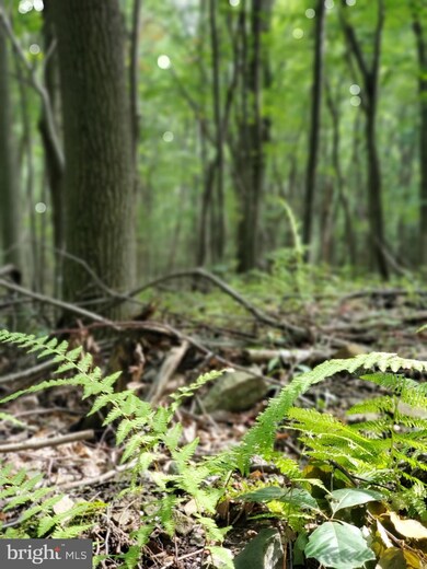 0 Crystal Falls Dr unit MDWA179600, Smithsburg, MD 21783 - photo 2