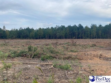 Lot 1-C Daniels Ln, Bennettsville, SC 29512 - photo 3