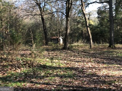 216 E Moores Crossing Rd, Thomaston, GA 30286 - photo 5