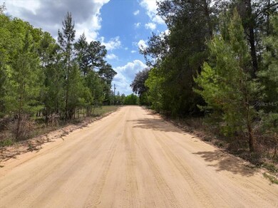 0 Patch St, Interlachen, FL 32148 - photo 5