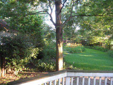 Back garden left from deck-summer