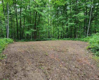TBD Dream Lake Rd unit Lot 2, Long Lake T-Wi, WI 54542 - photo 2