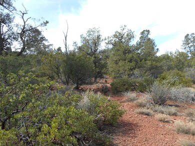 Vegetation