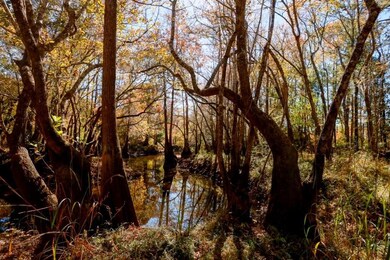 0 Twin Forks Rd unit 25641523, Statesboro, GA 30458 - photo 6