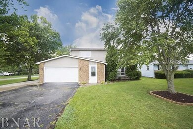 503 Boles Ave, Chenoa, IL 61726 - photo 3