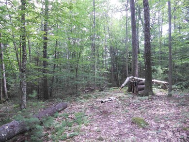 141 Sparling Hill Rd, Unity, NH 03743 - photo 6