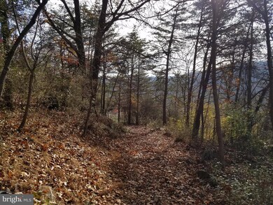 0 Golden Russet Dr unit 1004130541, Linden, VA 22642 - photo 3