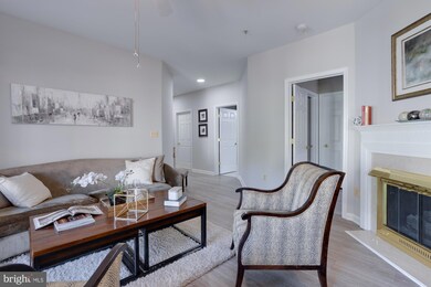 11315 Westbrook Mill Ln unit 204, Fairfax, VA 22030 - photo 4