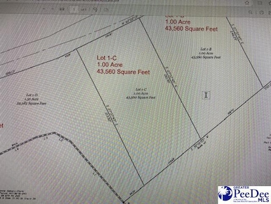 Lot 1-C Daniels Ln, Bennettsville, SC 29512 - photo 2