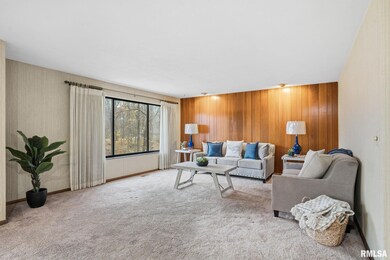 2200 36th St unit 3C, Rock Island, IL 61201 - photo 3