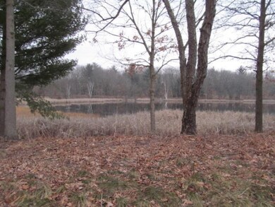 Pond