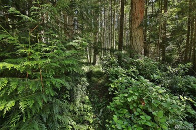 0 Pinewood Cir, Langley, WA 98260 - photo 6