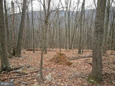 0 Center Ridge Rd unit 1002799038, Berkeley Springs, WV 25411 - photo 3