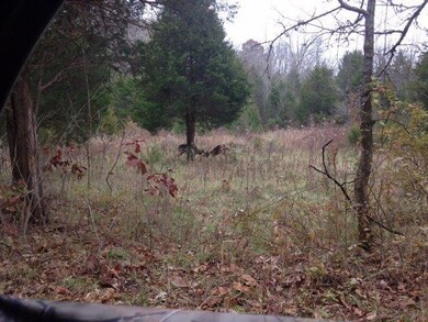 1 Baxter Ridge Rd, Lawrenceburg, KY 40342 - photo 3