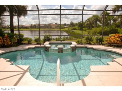 Beautiful Pool