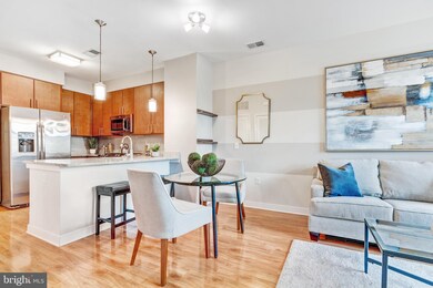 8005 13th St unit 204, Silver Spring, MD 20910 - photo 4