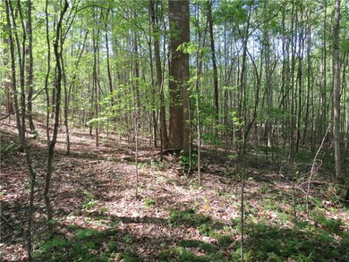 Lot 11 Ledbetter Ln, Walhalla, SC 29691 - photo 6