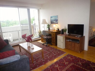 29 Concord Ave unit 712, Cambridge, MA 02138 - photo 4