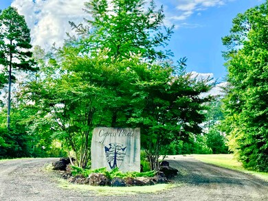 417 Old Tejas Trail W, Hemphill, TX 75948 - photo 2