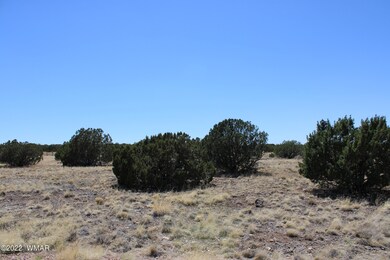 Lot 13