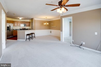 12451 Hayes Ct unit 203, Fairfax, VA 22033 - photo 2