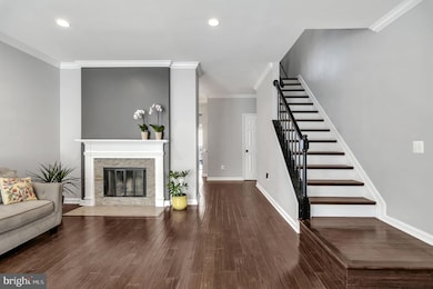 7224 Stover Dr, Alexandria, VA 22306 - photo 4