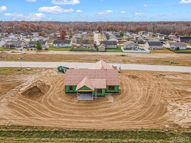 1123 Waymaker Ln, Waterloo, IL 62298 - photo 5