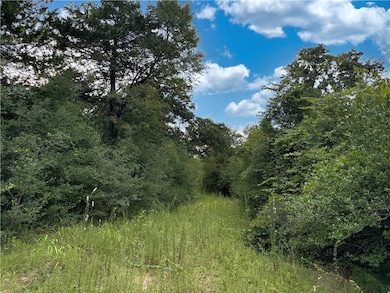 TBD E Old Hickory Grove Road Co Ne County Rd NE, Franklin, TX 77856 - photo 4