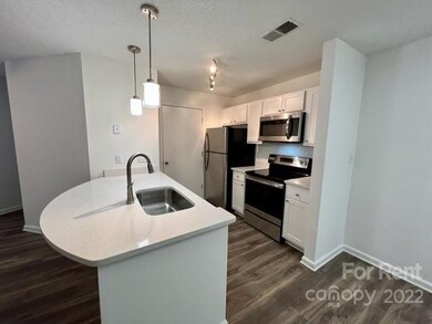 20 Hamiltons Harbor Dr unit 838, Clover, SC 29710 - photo 4