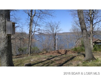 Back Yard  View