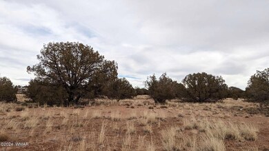 419234923_384882874091665_45011629340886