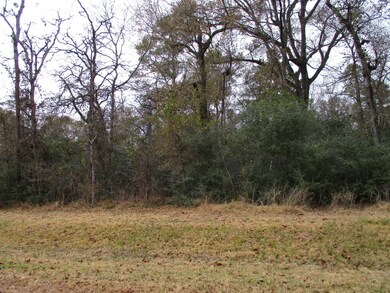 Lot 63 Willow Creek Rd, Hockley, TX 77447 - photo 6