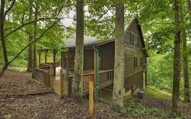 257 Toccoa River Forest, Mineral Bluff, GA 30559 - photo 2