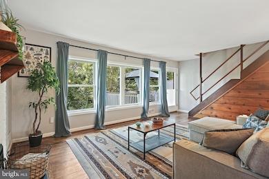 10406 Truxton Rd, Adelphi, MD 20783 - photo 4