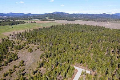TBD N Sherman Rd unit LOT 7, Deer Park, WA 99006 - photo 4