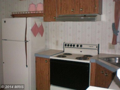 86 Ruby Ridge Rd, Franklin, WV 26807 - photo 2