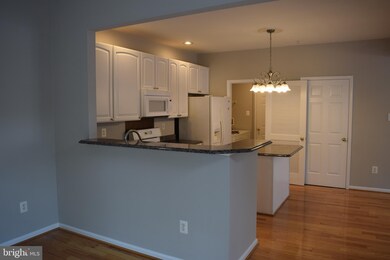 219 Arbor Vista Ln, Owings Mills, MD 21117 - photo 7