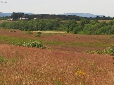 0 Ballston (Off Of) Rd unit 14474319, Sheridan, OR 97378 - photo 4