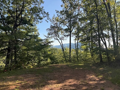 Lot 21 Hubble Way, Topton, NC 28781 - photo 3