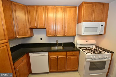 1111 University Blvd W unit 317, Silver Spring, MD 20902 - photo 4