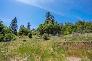 12726 Water Gap Rd, Williams, OR 97544 - photo 4