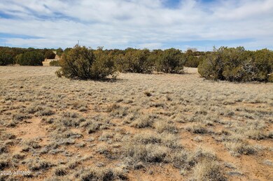 3933 Hidden Ranch Rd unit 56, Snowflake, AZ 85937 - photo 2