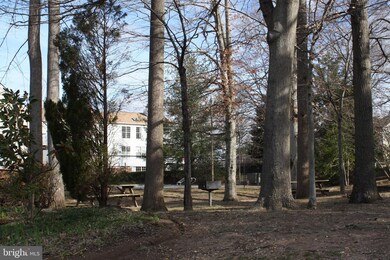 8248 Catbird Cir unit 8248D-302, Lorton, VA 22079 - photo 3