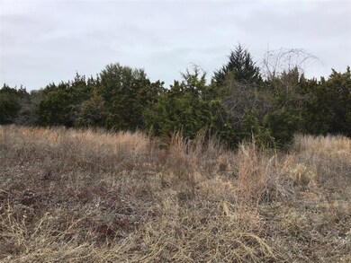 23124 Greenbriar Dr, Whitney, TX 76692 - photo 3