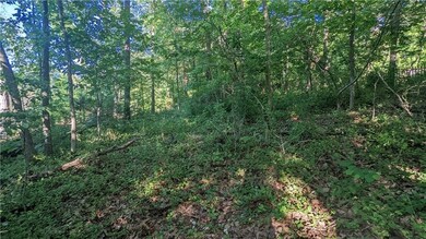 0 Itetbury Ln, Bella Vista, AR 72714 - photo 2