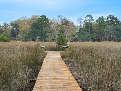 2110 Marsh Flower Ln, Charleston, SC 29414 - photo 2