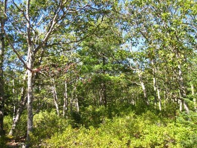 Land/Lot.