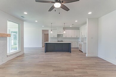 188 Saddle Horn Trail, Boyd, TX 76023 - photo 4