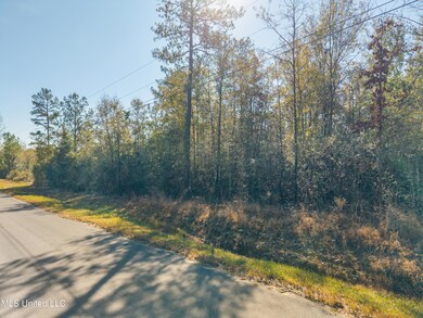 Nsn Country Hill Rd, Lucedale, MS 39452 - photo 4